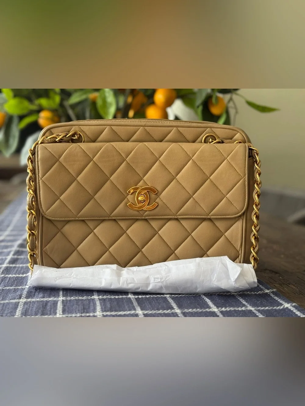 Vintage Chanel camera bag